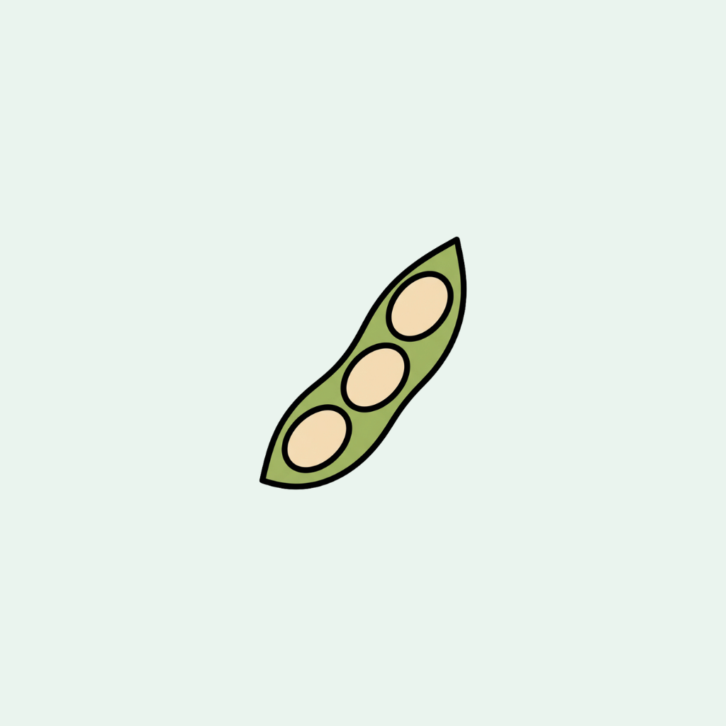 Illustration of a green pea pod with three peas on a light gray background